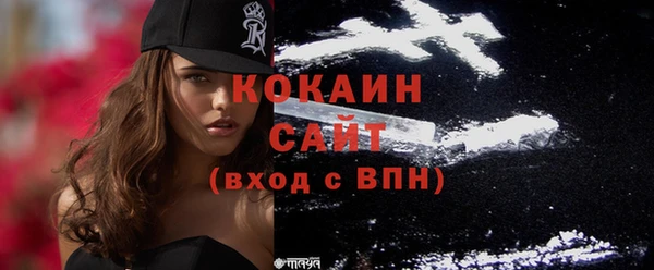 шишки Сафоново