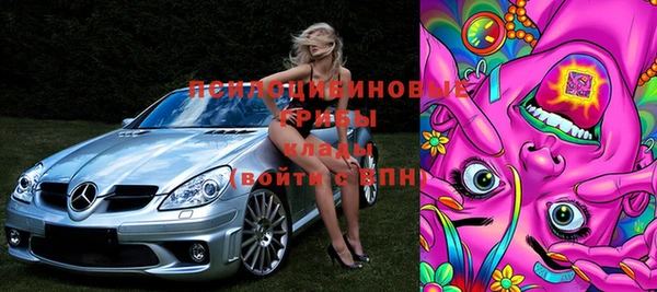 шишки Сафоново