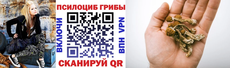 Псилоцибиновые грибы Psilocybine cubensis Купить закладки Яхрома