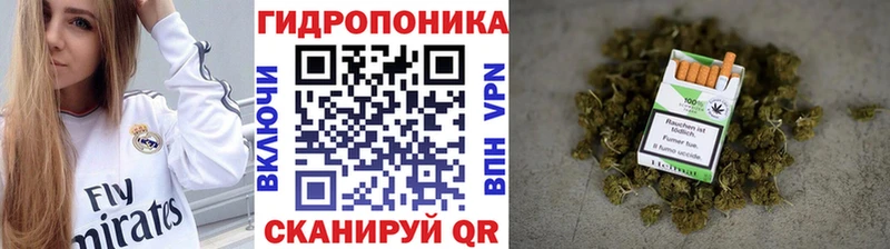 Бошки Шишки индика  Купить закладки  Яхрома 